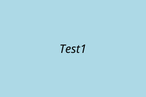 Test 1