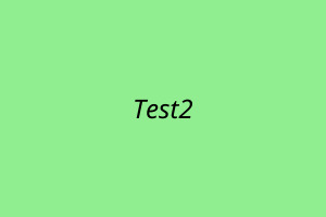 Test 2